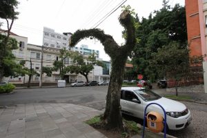 Podas e supressão de árvores geram protestos de moradores de Porto Alegre; Jornal do Comércio