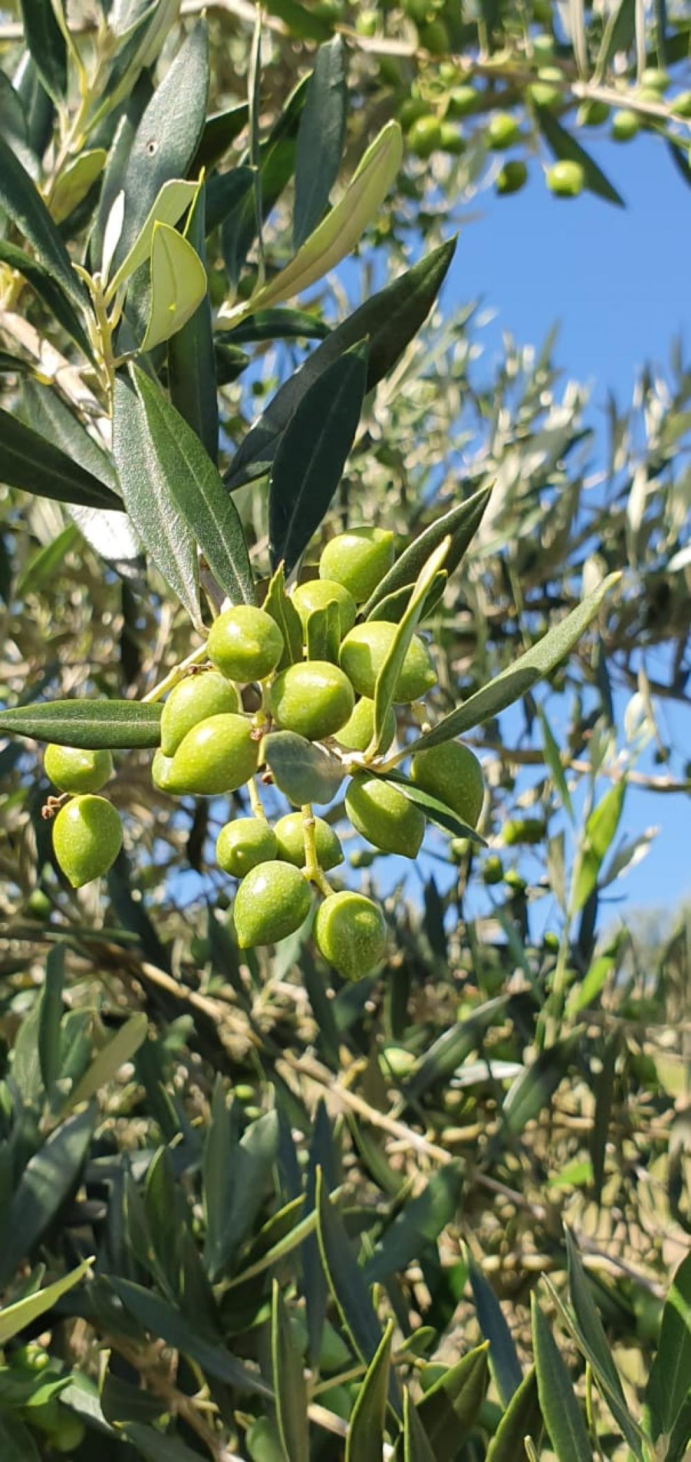 Detalhes Notícia