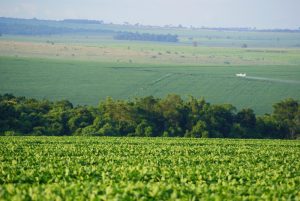 Entidades agrícolas defendem projeto de flexibilização de agrotóxicos como atualização necessária; Jornal do Comércio