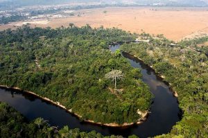 Projeto sobre pagamento por serviços ambientais segue para sanção