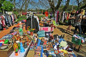 Porto Alegre: Prorrogado credenciamento de protetores e entidades protetoras de animais