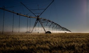 Decreto institui sistema que verifica emissões de carbono no agro