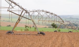 Ministério premia empresas do agronegócio por boas práticas