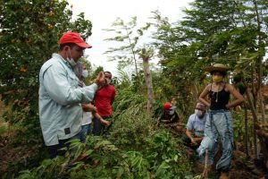 Governo lança plano de promoção da agricultura de baixo carbono