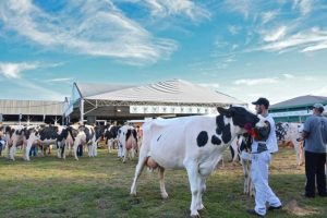 RS: COMUNICADO - EXPOLEITE FENASUL