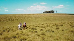 RS: Cinemateca Paulo Amorim e Iecine exibem série 