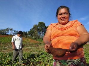 Semeando nas Aldeias prioriza segurança alimentar indígena no RS