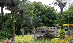 Sítio Roberto Burle Marx, um legado para a humanidade. Lugar é candidato a patrimônio mundial da Unesco este ano