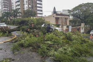 Porto Alegre: Defesa Civil alerta para possibilidade de chuva forte e vento intenso nesta sexta-feira