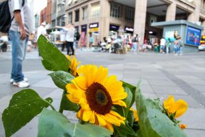 Porto Alegre: SMDET promove exposição de Flores especial para o Dia das Mães