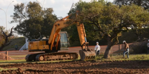 Retirada de árvores para obras da orla do Guaíba gera crítica, em Porto Alegre; Correio do Povo