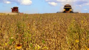 Credit Suisse vê safra 21/22 como melhor momento da história do agro brasileiro e eleva projeções para ações do setor; por Ricardo Bomfim/Infomoney