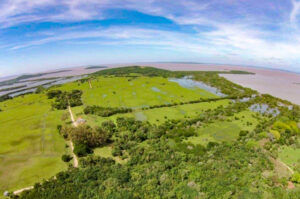 Porto Alegre: Regime urbanístico da Fazenda do Arado será debatido em audiência pública