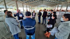 RS: Equipe da Saúde vistoria parque de exposições para estabelecer protocolos sanitários da Expointer 2021