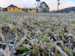 Inverno começa nesta segunda-feira com menos chuva e mais frio no RS; Jornal do Comércio