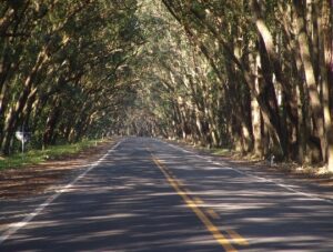 RS: Governo define datas de audiências públicas das concessões de rodovias estaduais