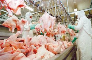 LÍDER MUNDIAL NO MERCADO DE FRANGO HALAL, BRASIL AMPLIA AÇÃO NA MAIOR FEIRA DE ALIMENTOS DO ORIENTE MÉDIO