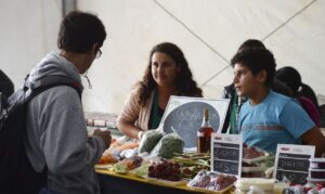 Ministério lança campanha anual de promoção de produtos orgânicos