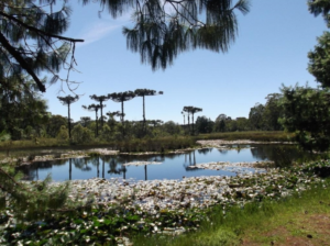 RS: Parque das Orquídeas de Gramado terá mais 9,6 hectares; Jornal do Comércio