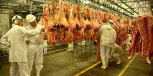 Frigoríficos gaúchos operam com déficit de 15 mil bovinos por semana; Jornal do Comércio