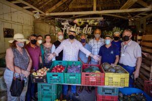 Porto Alegre: Prefeito em exercício participa da abertura da colheita da uva na zona rural