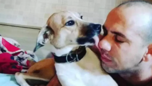 Cachorrinha que sumiu em voo da Gol em dezembro reaparece em Guarulhos; Estado de Minas
