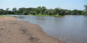 Chuva deve provocar melhora temporária no nível dos rios da Região Metropolitana; Correio do Povo