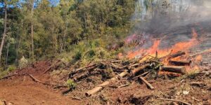 Estiagem no RS provoca incêndios que avançam pela vegetação na Serra; Correio do Povo