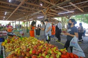 Estiagem do Rio Grande do Sul reduz oferta de orgânicos em feiras; Jornal do Comércio