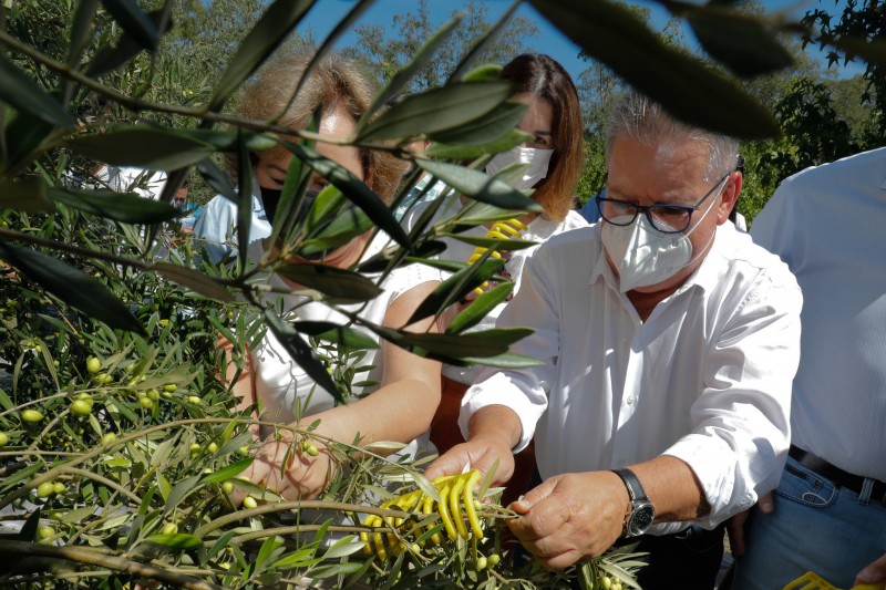 Detalhes Notícia