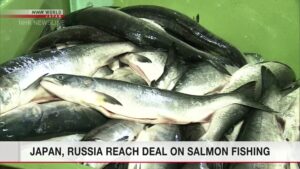 Japão e Rússia chegam a acordo em diálogos sobre pesca anual de salmão; NHK