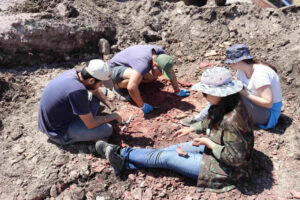 Dom Pedrito abriga sítio com fósseis de 260 milhões de anos; Jornal do Comércio