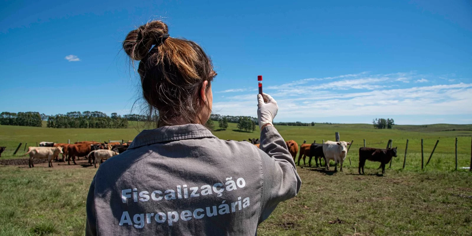 Detalhes Notícia