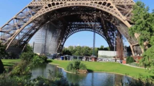 Militante se instala em árvore diante da torre Eiffel em protesto contra projeto polêmico da prefeitura; RFI