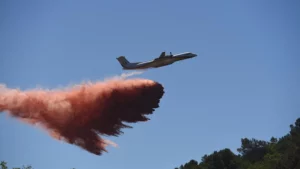 Incêndio destrói centenas de hectares de floresta no Sul da França; RFI