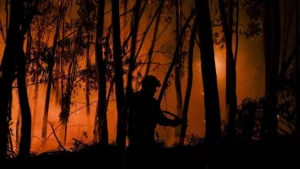 Palco da maior onda de calor das últimas décadas, Portugal deve registrar 45°C; RFI