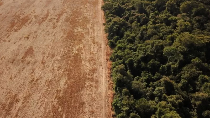 Detalhes Notícia