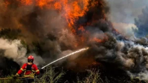 Incêndios florestais atingem Portugal, Espanha e França em meio a onda de calor; BBC