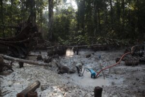 Refinadores suíços querem evitar ouro da Amazônia; SwissInfo
