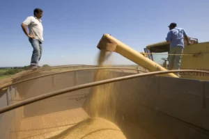 Grandes comerciantes de soja buscam estratégias para combater desmatamento no Brasil; SwissInfo