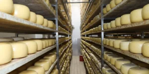Produção de queijo ganha força em solo gaúcho, por Nereida Vergara/Correio do Povo
