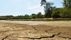 Onda mais longa de calor intensifica seca na França; 100 municípios estão sem água; RFI