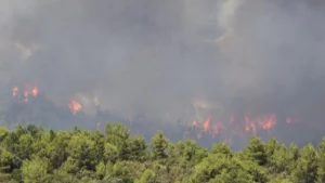 Na Espanha, incêndio obriga 1.500 pessoas a deixarem suas casas; RFI