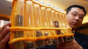 O ambicioso projeto da China para criar novos alimentos no espaço; BBC