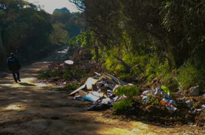 Porto Alegre: DMLU retira 64 toneladas em focos de lixo no bairro Hípica