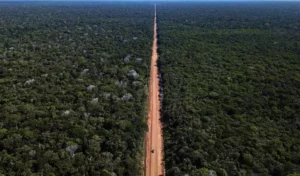 Já não é possível Bolsonaro superar desmatamento do governo Lula, por Tiago Vasconcelos/Diário do Poder