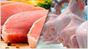 Exportações de carne de frango crescem 6% em 2022