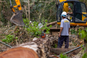 Parque atingido por temporal em Canoas deve reabrir em 30 dias; Jornal do Comércio