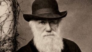 A visão de Charles Darwin sobre os escravizados no Brasil: 'Serão, no fim das contas, os governantes'; BBC