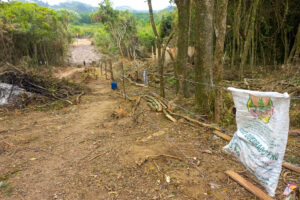 Porto Alegre: Ação conjunta impede instalação de loteamento clandestino no Belém Velho